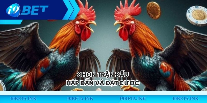 Chọn trận đấu hấp dẫn và đặt cược 
