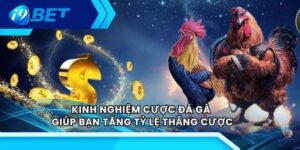 Kinh Nghiệm Cược Đá Gà
